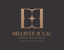 Logo Hotel Bellevue au lac